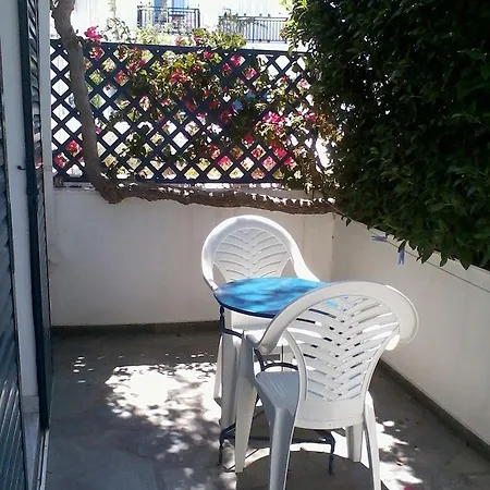 Rena Guest house